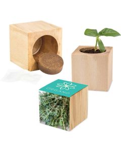 Pflanz-Holz Maxi - Samen nach Wahl - inkl. Werbedruck