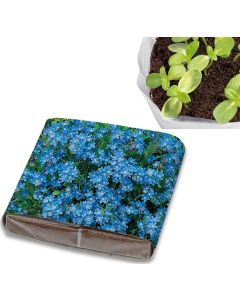 PopUp Anzuchterde - Samen nach Wahl - inkl. Werbedruck