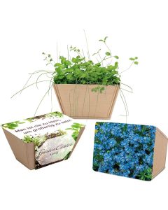 Mini-Beet - Samen nach Wahl - inkl. Werbedruck