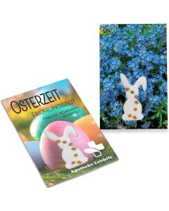Samen-Karte-Mini Ostern - Samen nach Wahl - inkl. Werbedruck