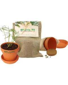 Natur - Säckchen Pflanze deinen Baum, Fichte - inkl. 1-4 c Logo-Digitaldruck