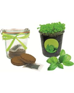 Kräuter-Glas, Basilikum - inkl. 1-4 c Logo-Digitaldruck