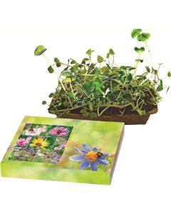 Bienenfreude - Bienenwiesen-Mischung - inkl. 1-4 c Logo-Digitaldruck