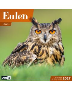Kalender Eulen 2026 - 30x30