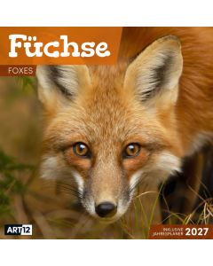 Kalender Füchse 2027 - 30x30